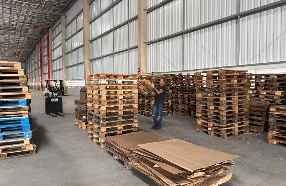 Área interna de galpão com grande quantidade de paletes de madeira empilhados e colaborador manuseando um palete.
